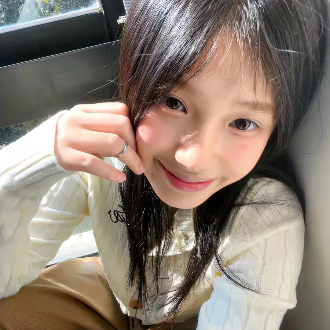 小鸟之翼第二季